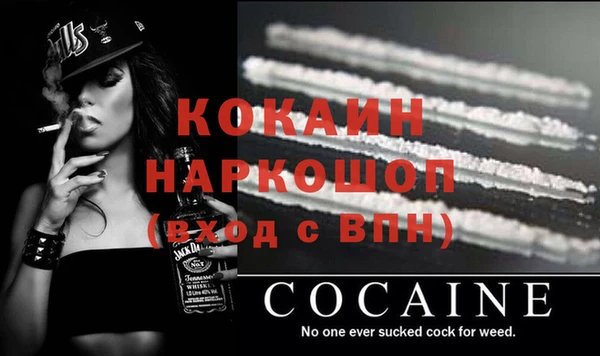 хмурый Мегион