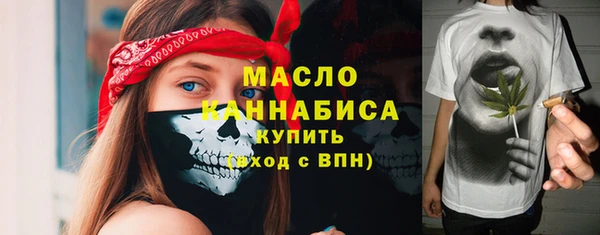 хмурый Мегион