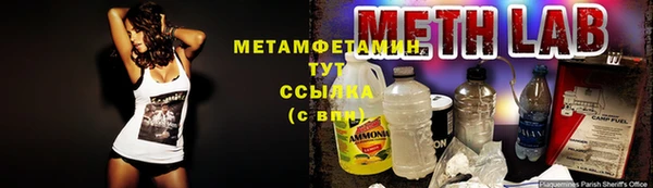 шишки Медвежьегорск