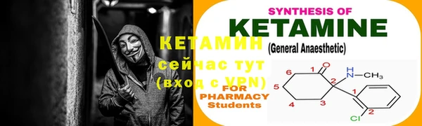 шишки Медвежьегорск