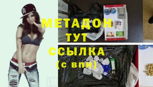 шишки Медвежьегорск