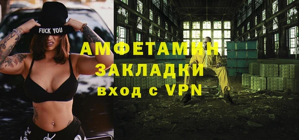 шишки Медвежьегорск
