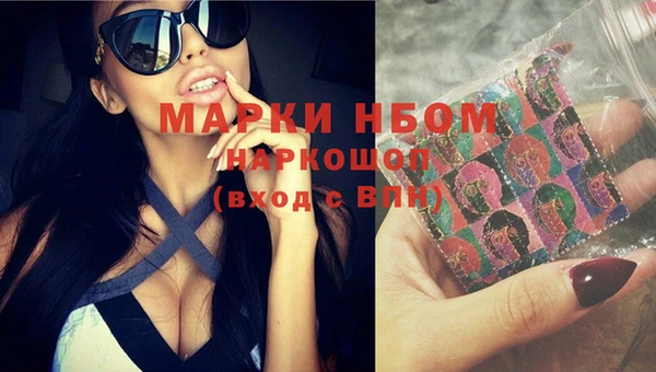 шишки Медвежьегорск