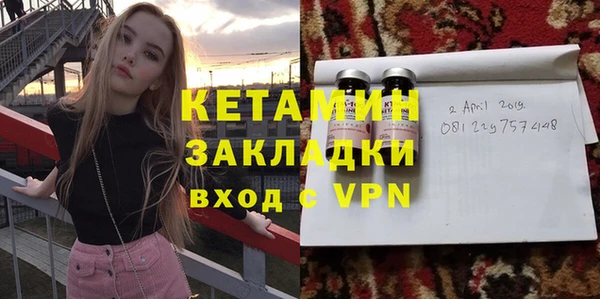 шишки Медвежьегорск