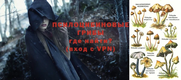 тгк Березники