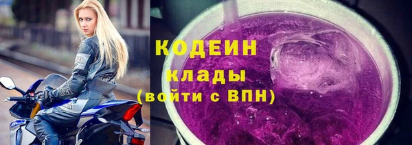 шишки Медвежьегорск