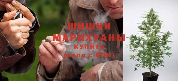 хмурый Мегион