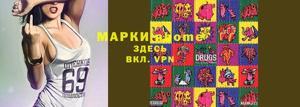гашик Медногорск