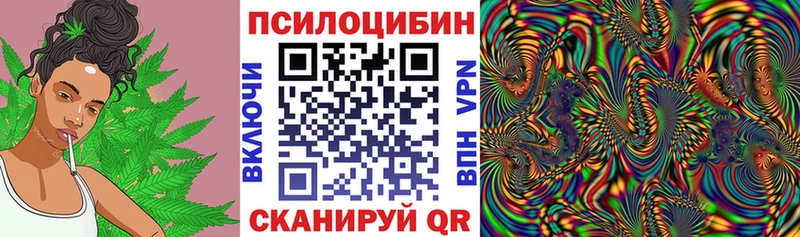 Псилоцибиновые грибы Magic Shrooms  Воронеж 