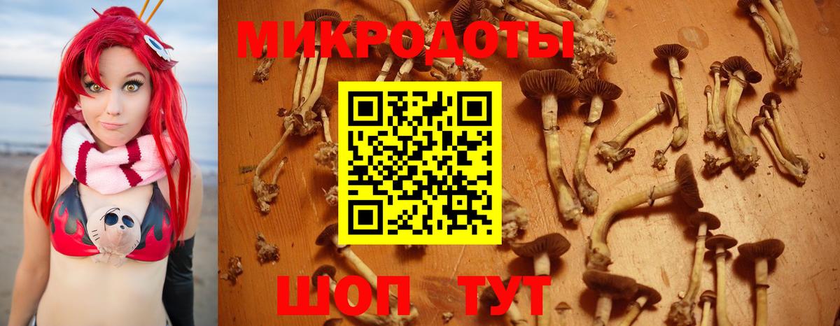 Галлюциногенные грибы Cubensis Воронеж