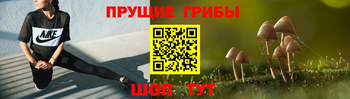Псилоцибиновые грибы Psilocybe  Вход с VPN  Воронеж  Псилоцибиновые грибы Magic Shrooms 